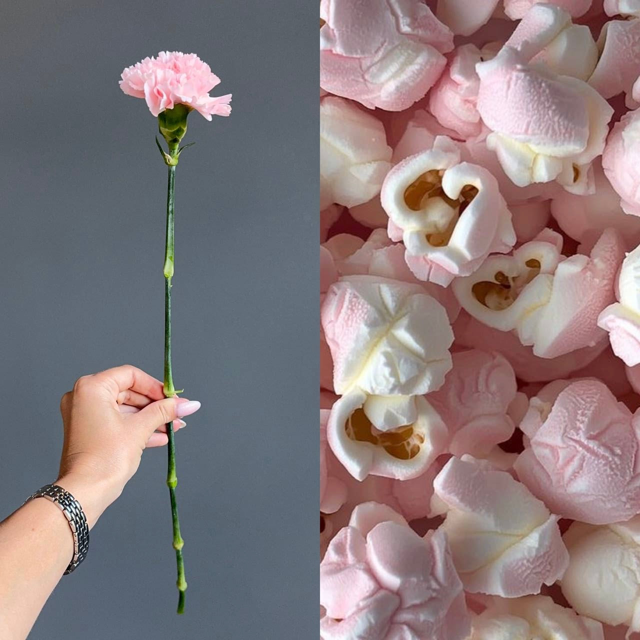 Mono Bouquets