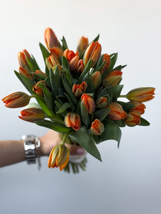 Tulip Bouquets